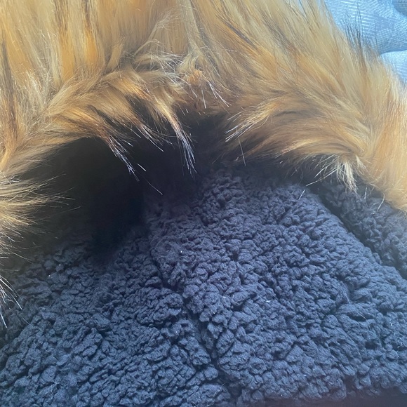 Diesel - Picture 9 of 12